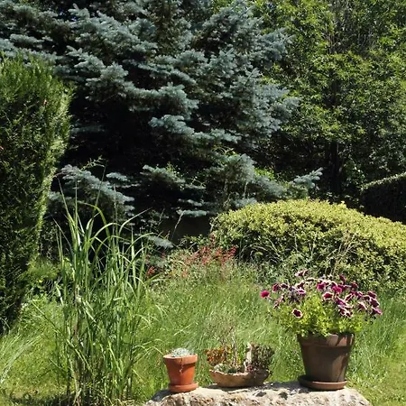Bed & Breakfast Canigou Vernet-les-Bains